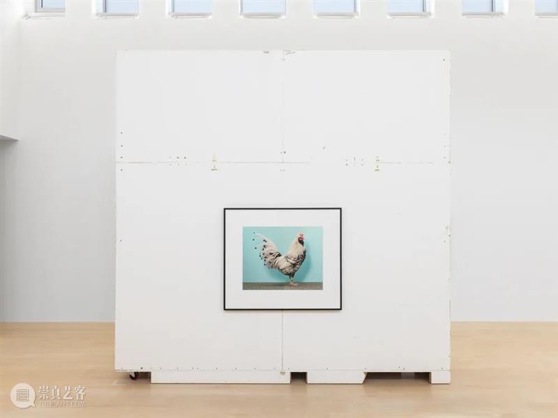 克里斯托弗·威廉姆斯(Christopher Williams)| 卓纳艺术家简介 卓纳画廊DavidZwirner 崇真艺客
